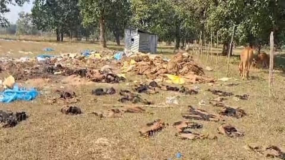 धान खरीदी ध्वस्त