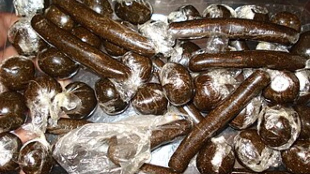 Kullu Five kg 933 grams of hashish seized from three youths in Kullu arrested and interrogation continues