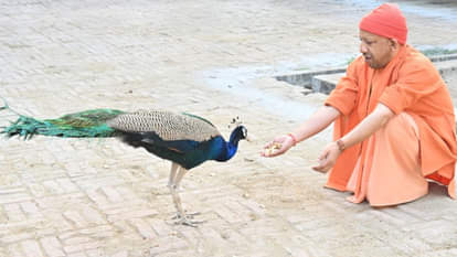 CM Yogi listened to problems during public darshan at Gorakhnath temple. directed strict action against police