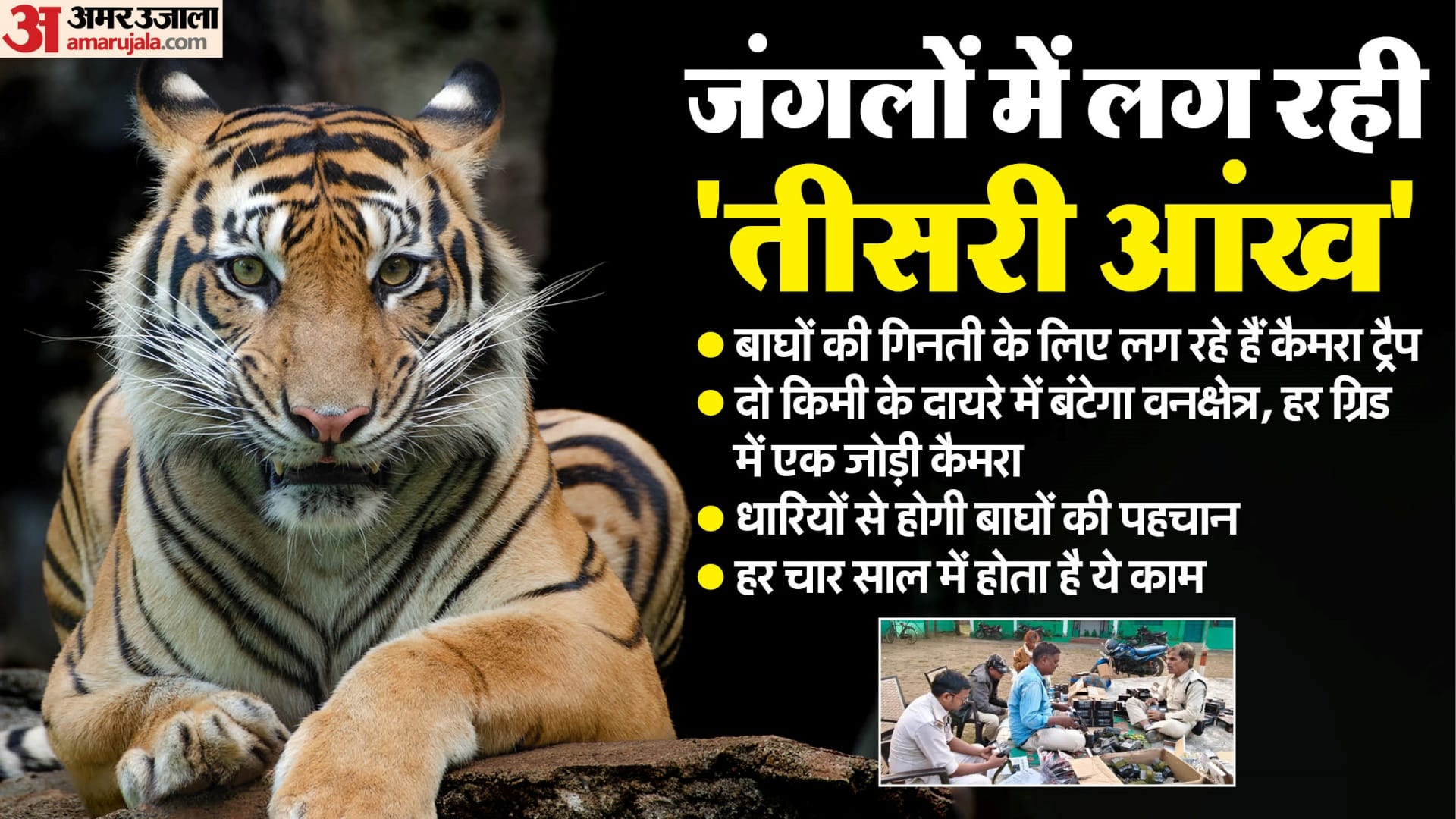बाघों की पहचान के लिए लग रहे हैं कैमरे