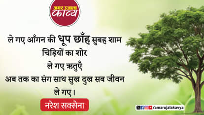 naresh saxena famous hindi kavita usey le gaye arey koi dekho