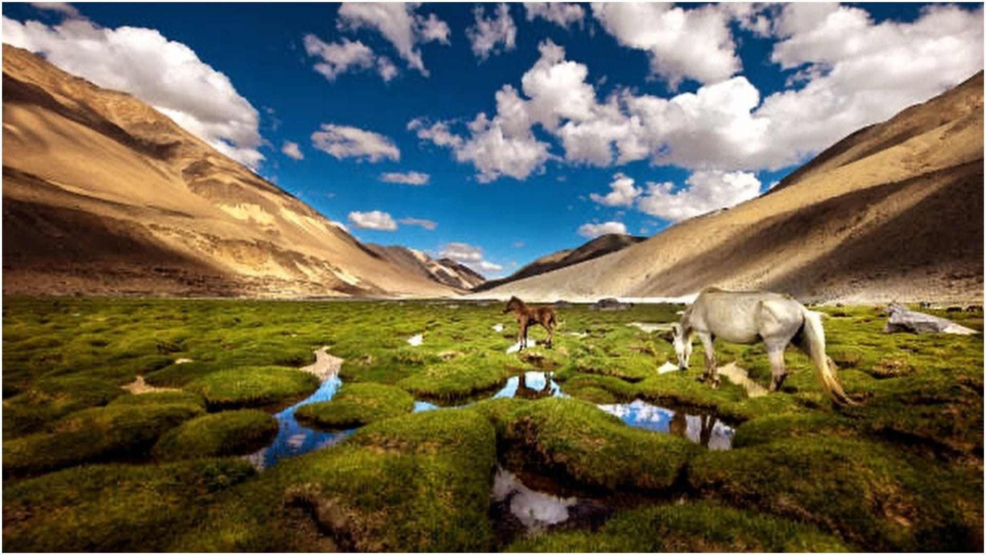 7 Best Places to Visit in India This September After the Monsoon