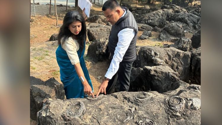 Sonebhadra: सलखन फॉसिल्स पार्क में अध्ययन के लिए पहुंची BSIP की टीम, यूनेस्को विश्व धरोहर बनाने को बड़ा कदम