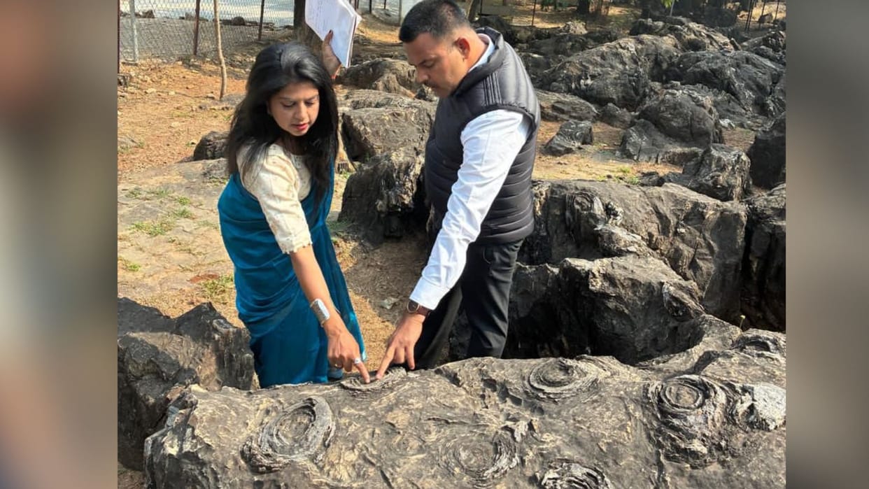 BSIP team reached Salkhan Fossils Park for study in sonbhadra