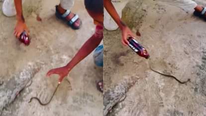 Children playfully stuffed a live snake into a bottle shocking people Video goes Viral on Internet