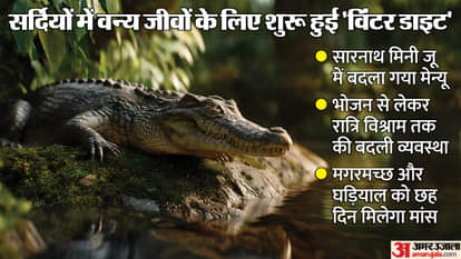 Winter diet for wild animals of Sarnath Mini Zoo begins this winter in varanasi