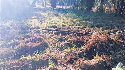 Agriculture: Farmers in Himachal Pradesh await rain, wheat sowing in trouble, with rainfall 89 percent less th