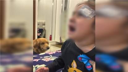 Meerut doctor seals child's injury with Feviquick