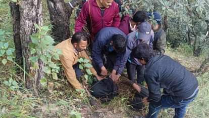 Missing woman found in forest badly injured after being attacked by bear Chamoli News
