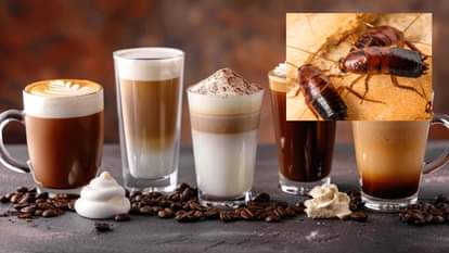 Weird News: china beijing museum coffee shop sells cockroach powder topped drink shocking food trend viral
