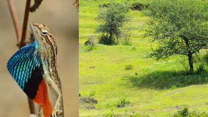 A few moments in the meadow