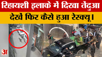 Jaipur: A leopard was spotted in a residential area, causing panic among residents. Video has surfaced. Amar U