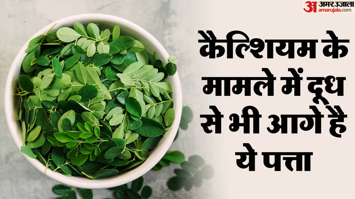 moringa leaf is a storehouse of many vitamins including iron and calcium consuming it can cure many diseases