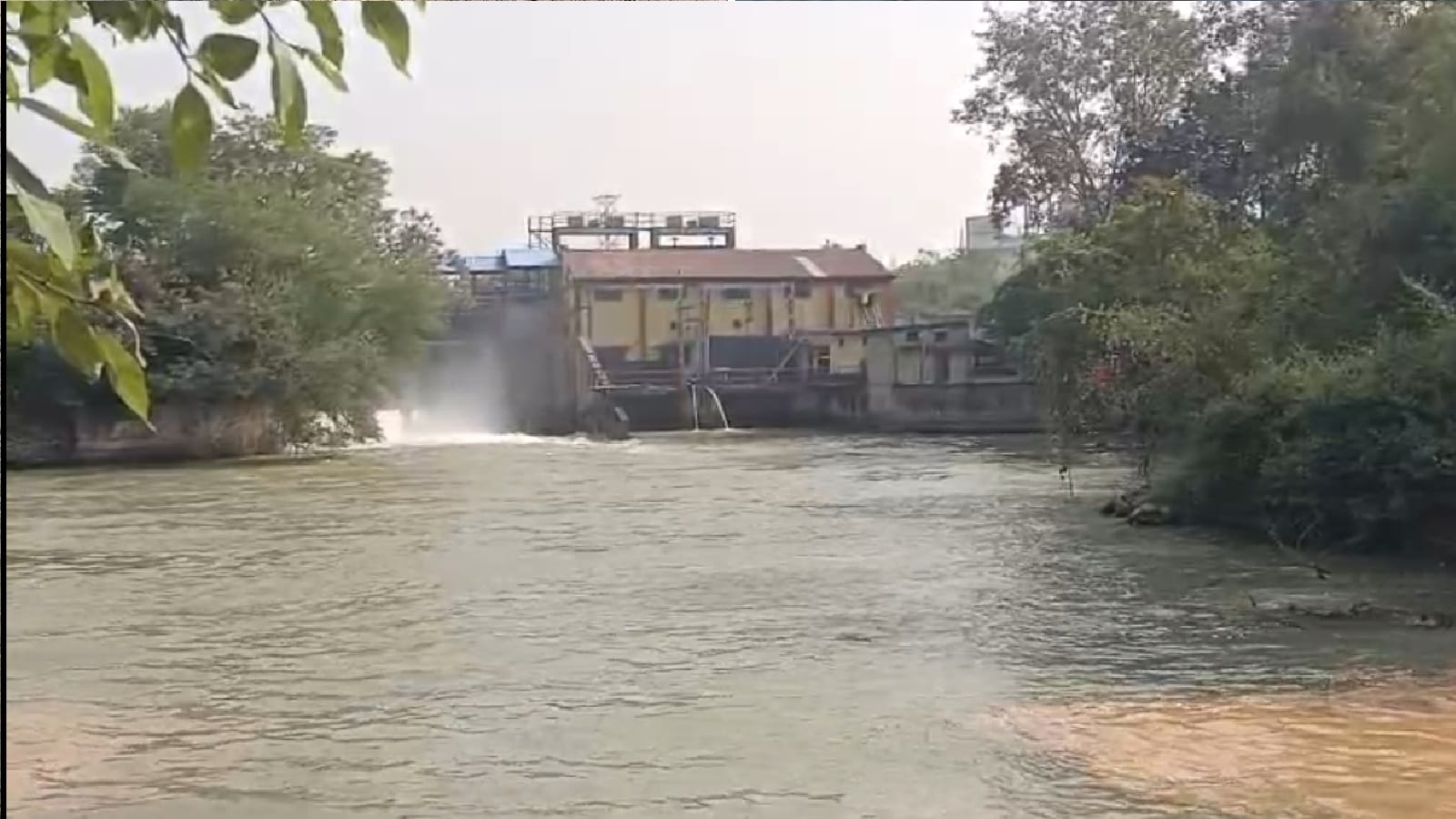 तटबंध टूटने से घुसा पानी