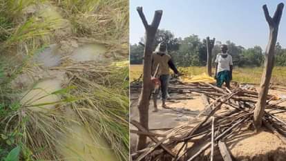 Korba A group of elephants reached Dondro