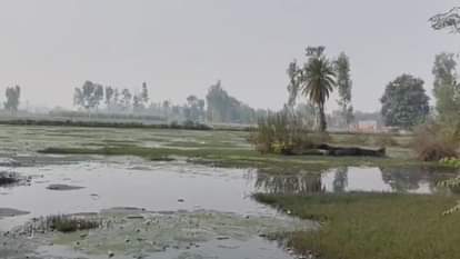 Lack of drainage has turned 60 bighas of land into ponds farmers face problems in shahjahanpur