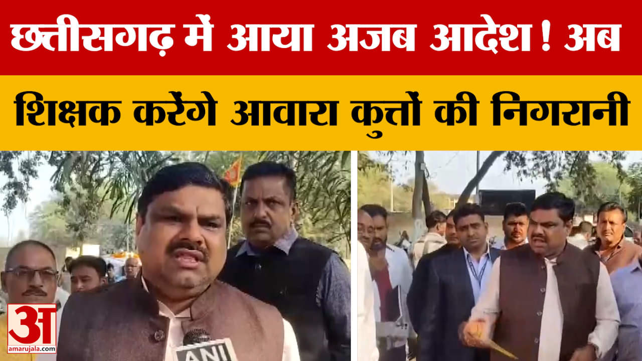 Chhattisgarh में आया अजब आदेश! अब शिक्षक करेंगे आवारा कुत्तों की निगरानी