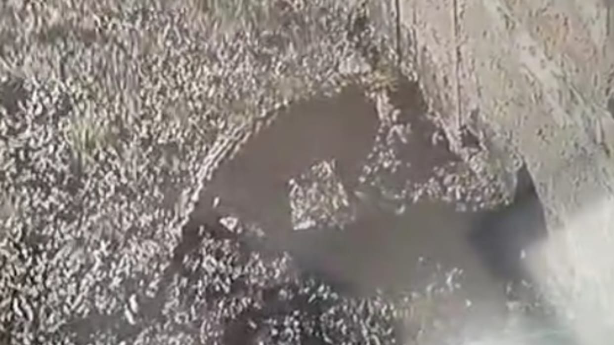 Leopard sighting sparks uproar in Army aviation unit in Bareilly