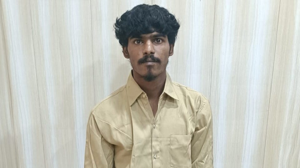 Doctor mother murdered by servant in Agra