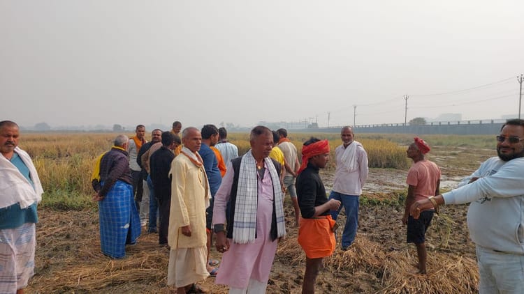 Bihar News: बियाडा से निकल रहा गंदा पानी, 100 बीघा धान फसल बर्बाद; किसानों ने मुआवजे की उठाई मांग