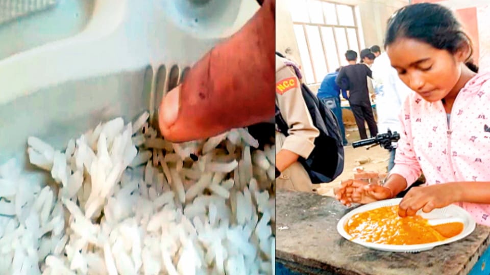 Chaos at MP Sports Festival: Players Left Hungry as Worms Found in Rice