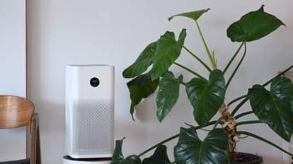 Which air purifier  best  toxic outdoor air  Know these 7 things before buying you regret it