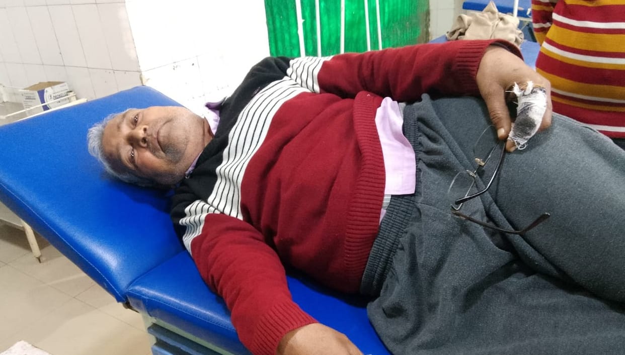 Orai Stray dog terror 10 people in two neighborhoods were injured by bites chased and bitten terror in area