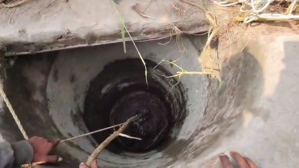 leopard fell into well forest department team rescued with the help of a net in Shahjahanpur
