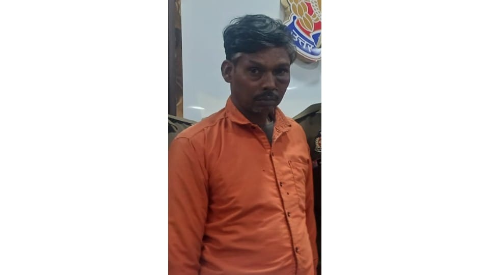 Kolkata woman murdered in Hathras