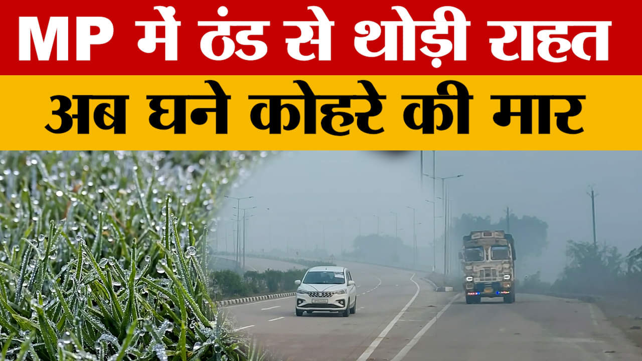 Weather Update: प्रदेश में कई दिनों बाद मिली ठंड से राहत, लेकिन छाया घना कोहरा, जानें अपडेट।