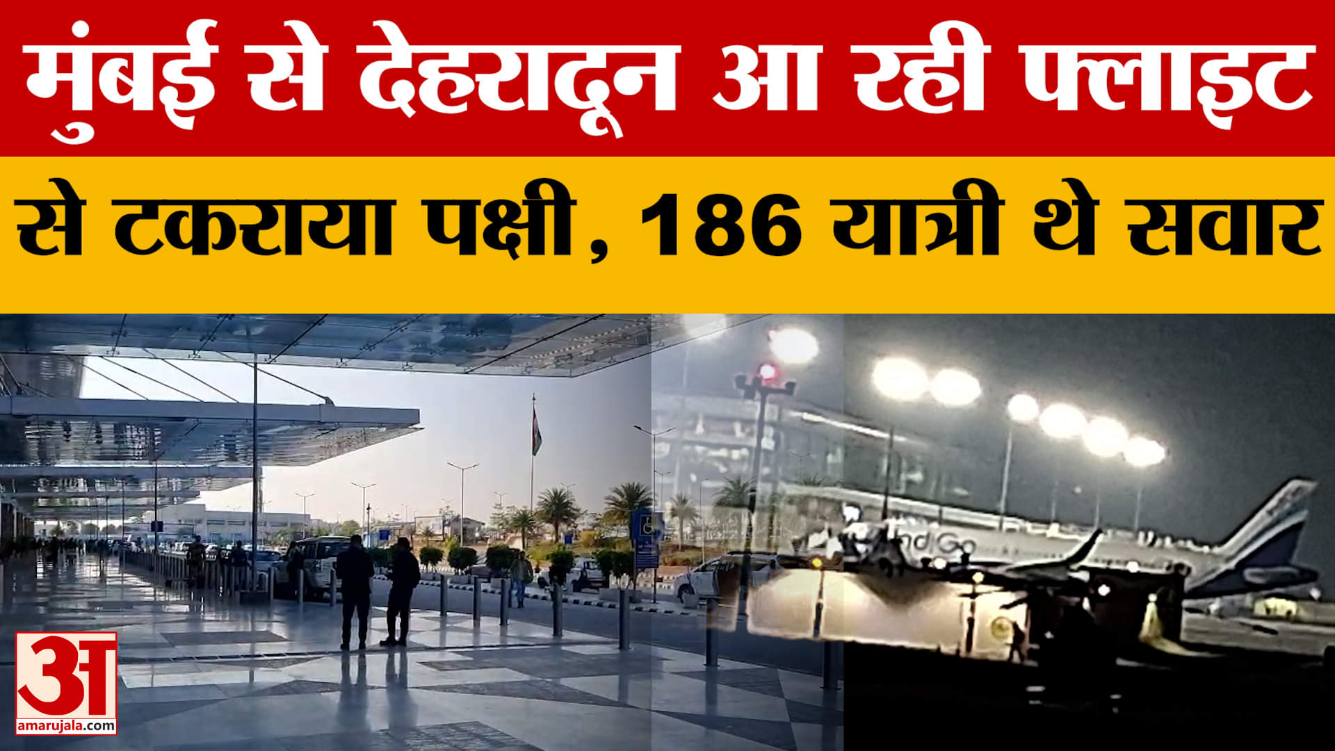 Mumbai से Dehradun आ रही Indigo की फ्लाइट से टकराया पक्षी, 186 यात्री थे सवार