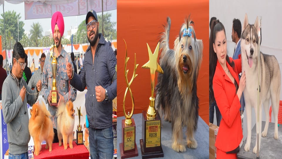 10th National Dog Show in Aligarh