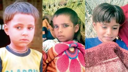 Sambhal: Three girls health deteriorated after eating Jatropha fruit, one died in hospital