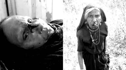 MP News: Mad dog rampages in Barwani, attacks two villages, injuring 12 people