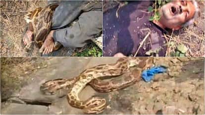 Kota News: A 12-foot python attacked a worker who had arrived to open water valve at Kota Thermal Plant