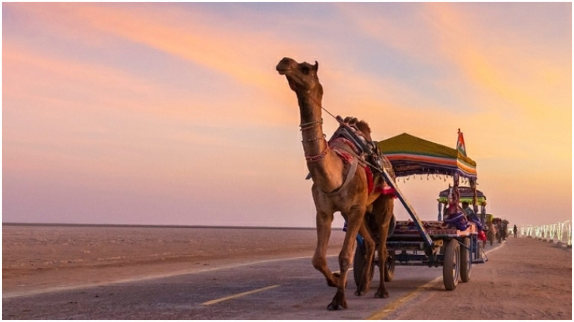 Places To Visit in January Month Top Travel Destination For January