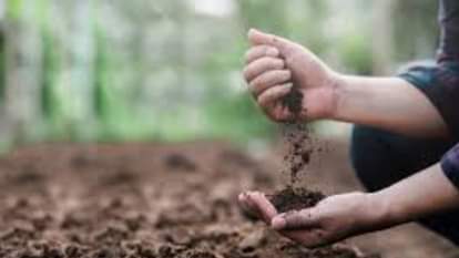 Soil Health Declines in Meerut Division: Severe Drop in Nitrogen and Zinc Levels