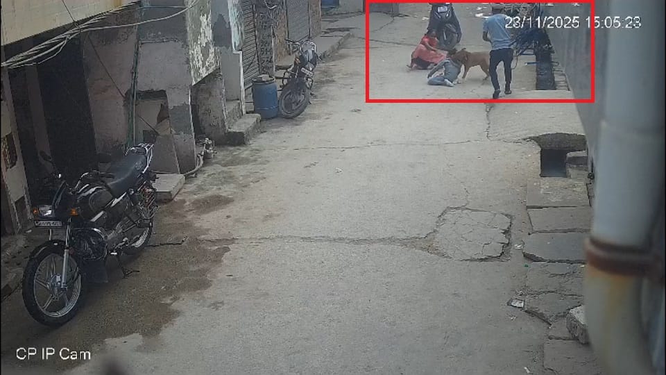 six-year-old boy attacked by pit bull dog in Delhi biting off his ear
