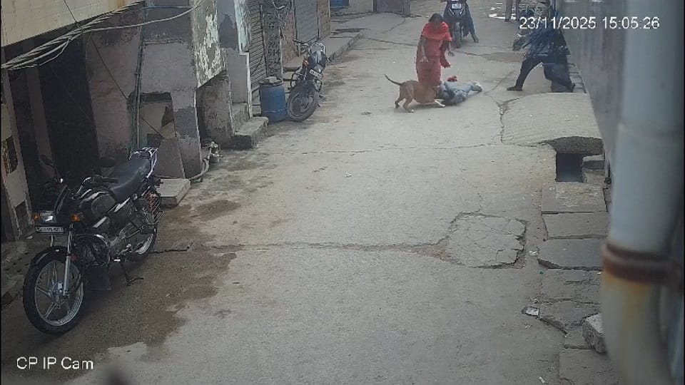 six-year-old boy attacked by pit bull dog in Delhi biting off his ear