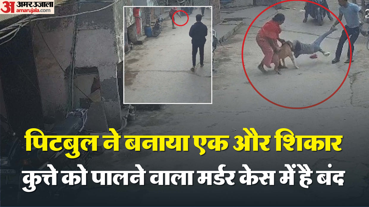 six-year-old boy attacked by pit bull dog in Delhi biting off his ear