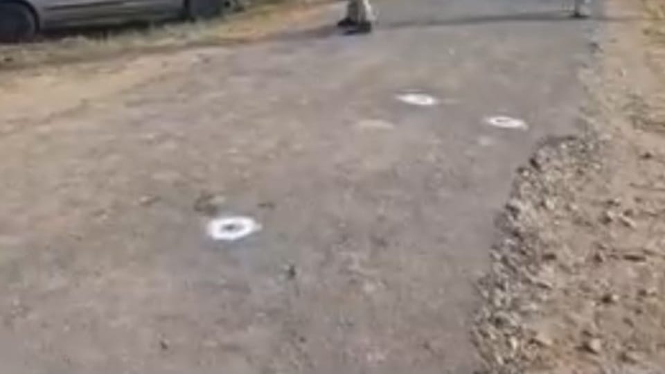 Jalandhar Police and gangsters encounter in Goraya accused injured