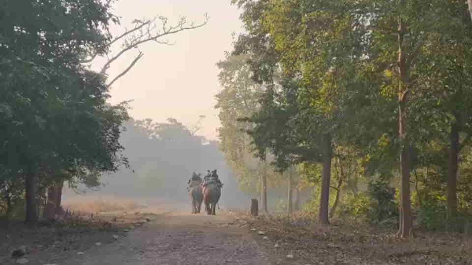 Elephant Safari Starts In Rajaji Tiger Reserve Now Radha and Rangili will do Forest Walk