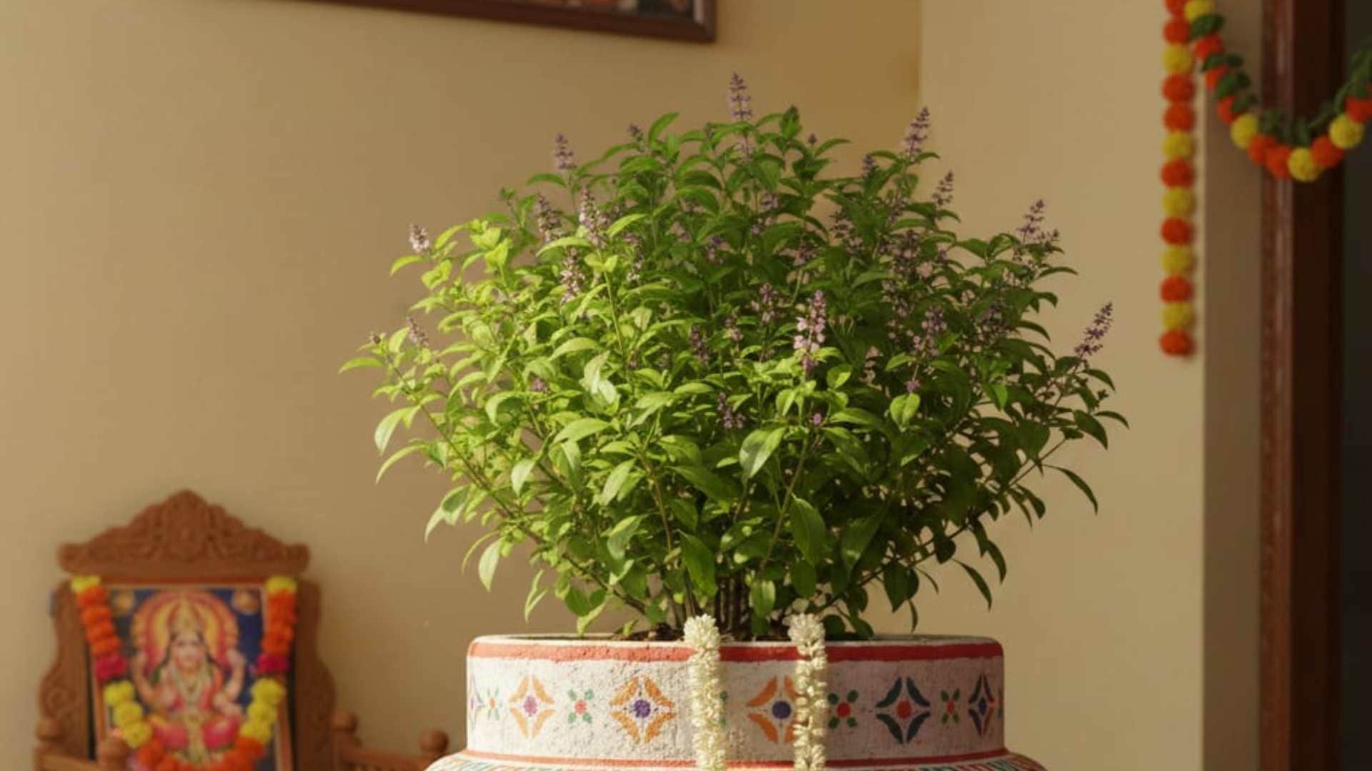 Astrological Remedies for Debt Relief Financial Problem Solutions Karj Mukti Ke Upay