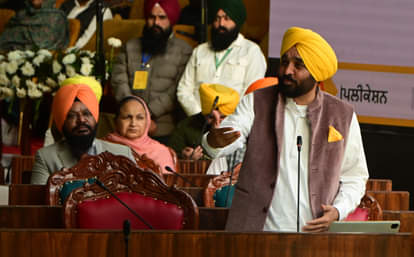 Meat tobacco and alcohol banned in Amritsar Talwandi Sabo and Anandpur Sahib