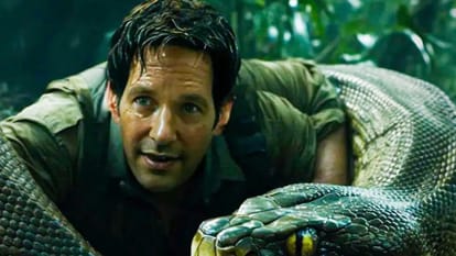 box office collection report avatar fire and ash vs anaconda clash hollywood