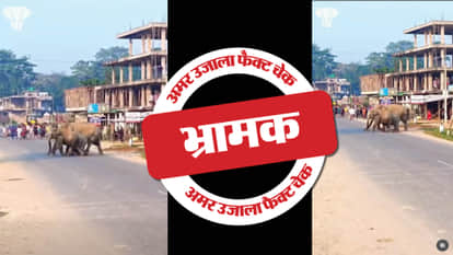 Fact Check A video of a herd of elephants crossing a road from Assam is shared as from Karnataka.
