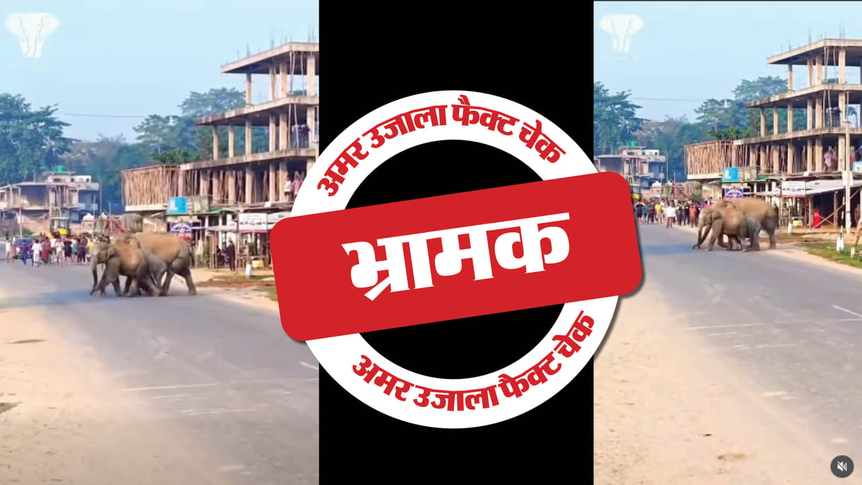 Fact Check A video of a herd of elephants crossing a road from Assam is shared as from Karnataka.