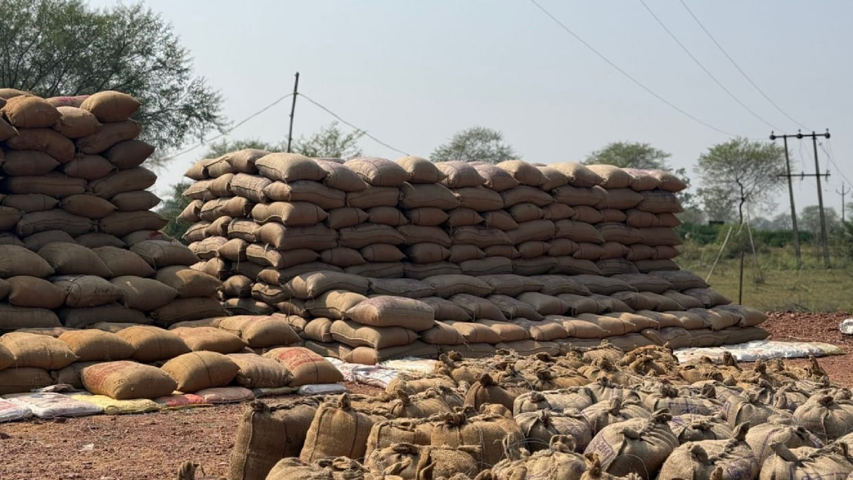 Major action against illegal paddy storage in Mungeli, 622 quintals of paddy seized from 17 traders