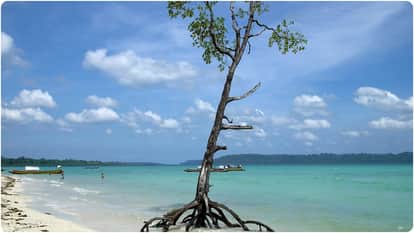 mangrove forest in andaman and nicobar islands location know challenges