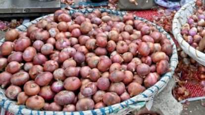 Onions are being sold at Rs 8 per kg in the wholesale market in Bareilly